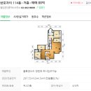 코코젬마 이미지