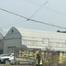 엠산업 | 식물계의 이케아, 파주 조인폴리아 방문 후기