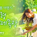 삼삼오오목장 이미지