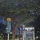 헬스 IHL PT studio 이미지