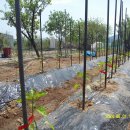 송우농장 이미지