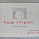 햇살자인