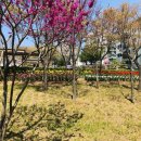 원신근린공원 (1) 이미지