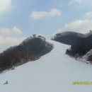 오크밸리 스노우파크의 스킹......... 이미지