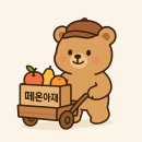 현대공판장 | (26.01.15)꽃귤 많은 김해스페셜 + 고당도 최고급 엔비사과+ 프리미엄 골드 망고 + 체리 + 방토 입성이요!