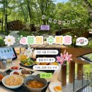 11650-13-10-14 | 봄 수락휴 숙박 후기 | 씨즌서울 조식 | 13, 24호