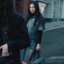 레이디올 이미지