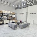 대구강아지분양 도로시펫 이미지