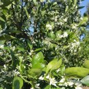 미성민박 이미지