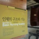 에스엠sm간호학원