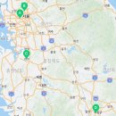 도그마루 강아지 고양이 마포용산점 이미지