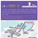 [7월 14일(토) 구불6길 달밝음길 전구간 걷기 - 은파 제1주차장 9시 출발] 이미지