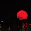 [동성/연재] 붉은 달2 #7화 -과거 이미지
