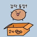 구봉초교병설 이미지