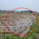 노와5리마을회관 이미지