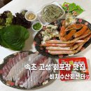 속초시치매안심센터 | 속초 고성 회포장 맛집 비치수산회센터 고성본점 모듬회 대게 포장후기