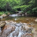 다옴 | 하동독채펜션 하동다옴펜션 방문 후기 | 광양매화축제펜션 하동벚꽃축제펜션 추천!