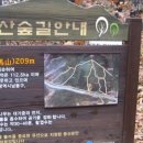 꼬사랑 이미지