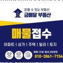 금메달부동산공인중개사사무소 이미지