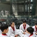 고려대 김세원 태권도 이미지