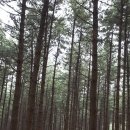 팔현만두 | 팔현의 매력