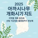 2025 아까시나무 개화시기 지도 발표! 전국 개화 일정과 산악기상정보 활용법까지 한눈에