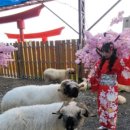 화련농장 이미지