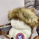 캐나다코코샵 네이버블로그