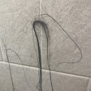 경대연합엠플랜의원 이미지