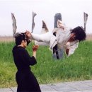 상승합기도 이미지