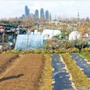 강남마을공인중개사사무소 이미지