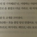 이도우 이미지