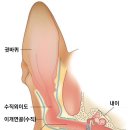 차동물병원 이미지