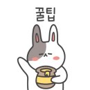 불스원워시앤케어브라운핸즈