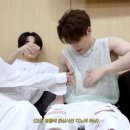 디노몰