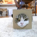 고냥이네 이미지