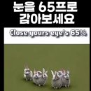 눈을 65% 감아보세요~ 이미지