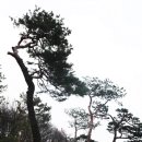 선황농장 | ［경기/수원,화성,오산］정조의 효심을 찾아서...