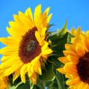 영화에너지 이미지