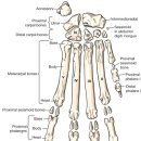 사직동물의료센터 이미지