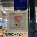 유성맛집민들레집뜰 이미지