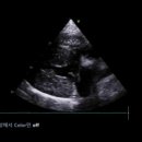 (주)동우메디칼 이미지