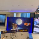 파이안경 | 라이프오브파이 gs아트센터 vip 1층 c블럭 15열 1번 좌석 후기