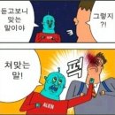 케익프라자 - 강남구 | 케익프라자