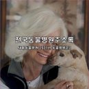 강서하이동물병원 이미지