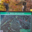 용문산 산행2022년 11월 5일) 이미지