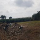 하원동-2 이미지