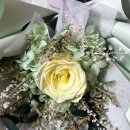 꽃이필무렵 이미지