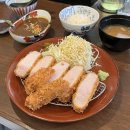 문경 모전동 카츠야코겐 문경쑥돈으로 만든 육즙 가득 돈까스 맛집