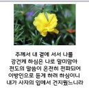 시편75 이미지